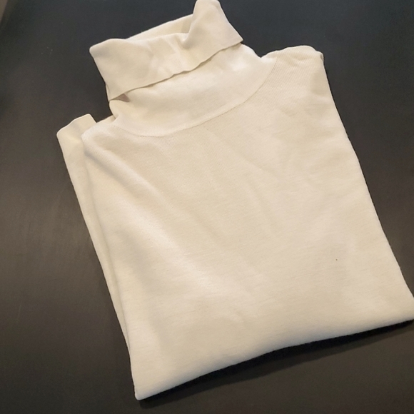 Brooks Brothers Sweaters - Brooks Brothers Merino Wool Turtleneck